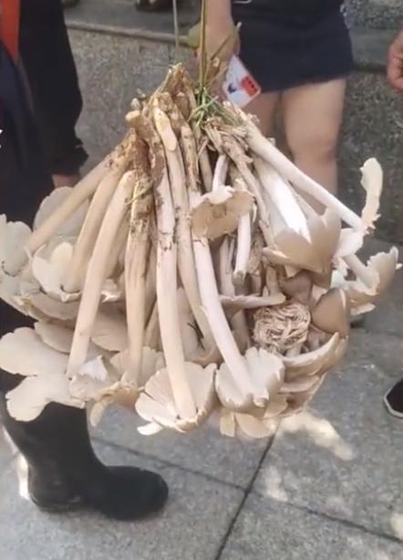 贵州,践行绿色发展的生态文明样板